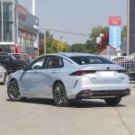 Trumpchi Shadow Leopard