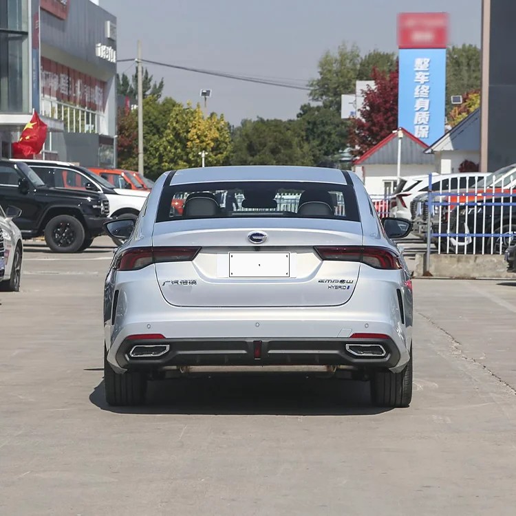 Trumpchi Shadow Leopard