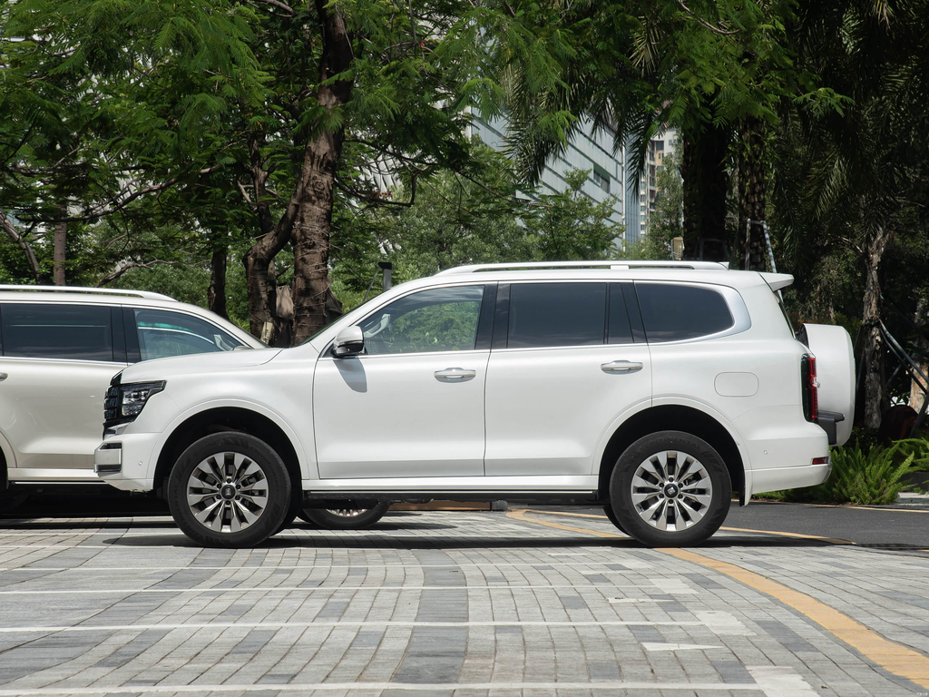Tank 500 2026 3.0T Zaojing Edition 5 seats