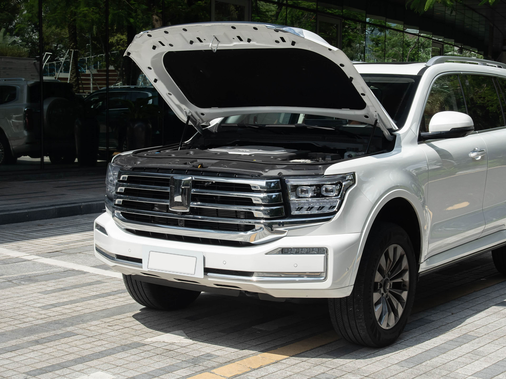 Tank 500 2026 3.0T Zaojing Edition 5 seats