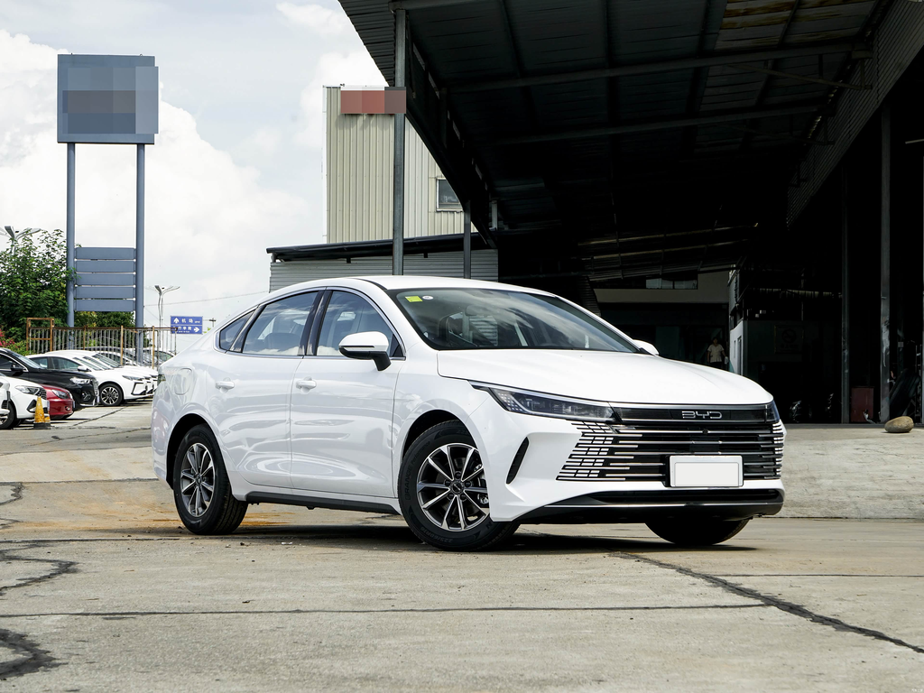 BYD Destroyer 05 2025 DM-i 55KM Smooth Edition
