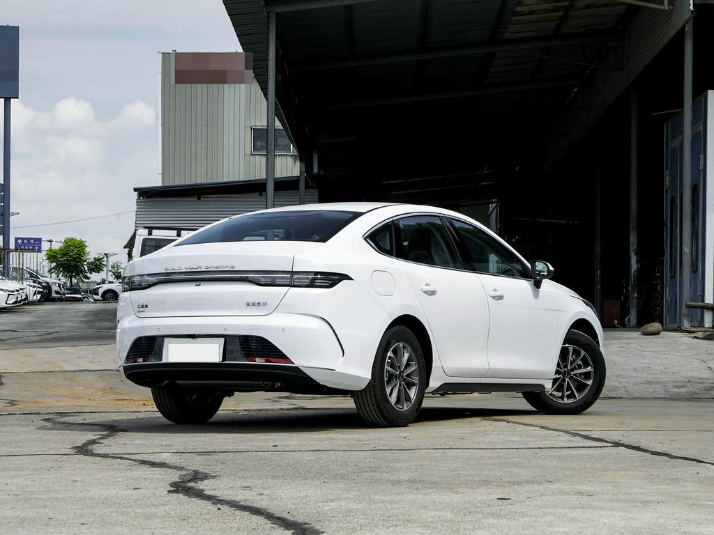 BYD Destroyer 05 2025 DM-i 55KM Smooth Edition