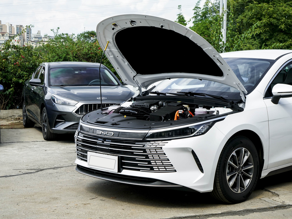 BYD Destroyer 05 2025 DM-i 55KM Smooth Edition