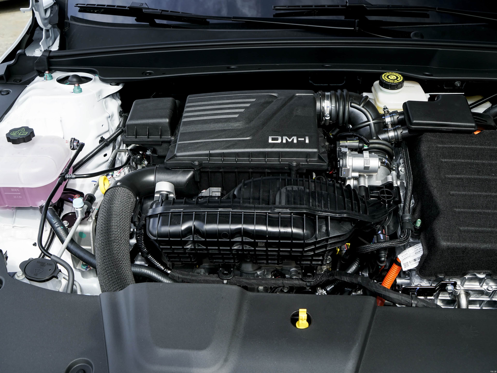 BYD Destroyer 05 2025 DM-i 55KM Smooth Edition