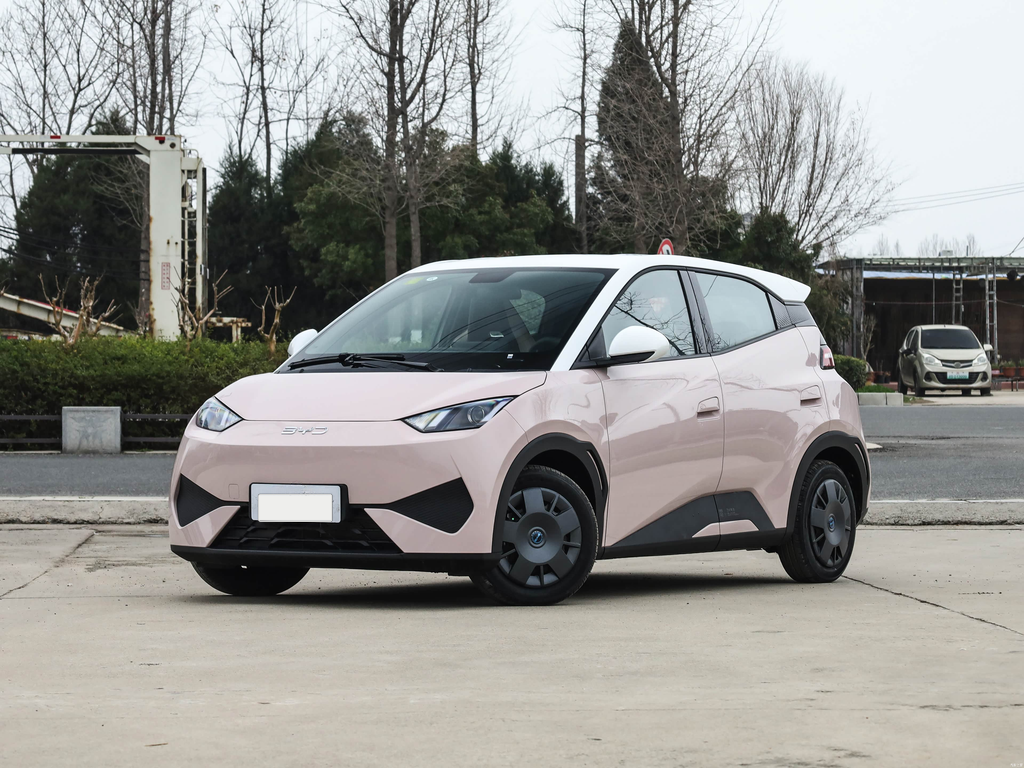 BYD Seagull 2025 Smart Drive 305km Vitality