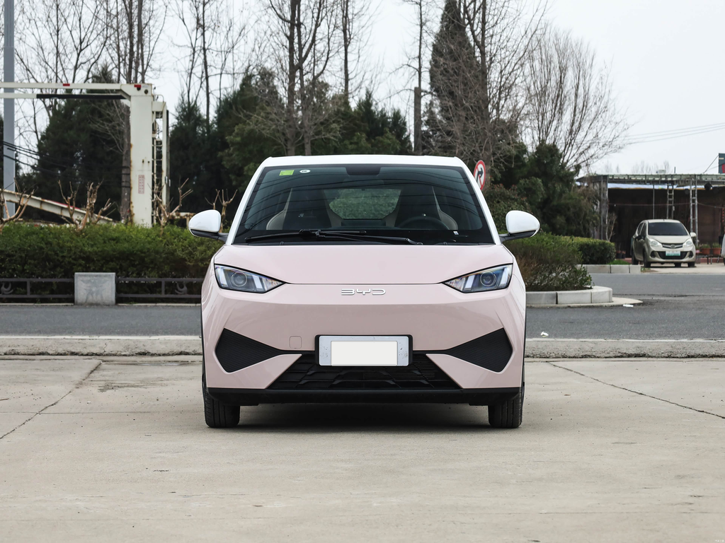 BYD Seagull 2025 Smart Drive 305km Vitality