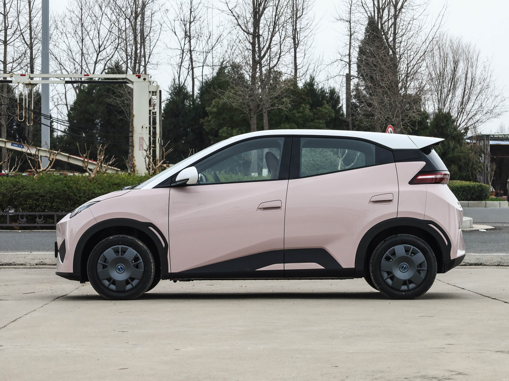 BYD Seagull 2025 Smart Drive 305km Vitality