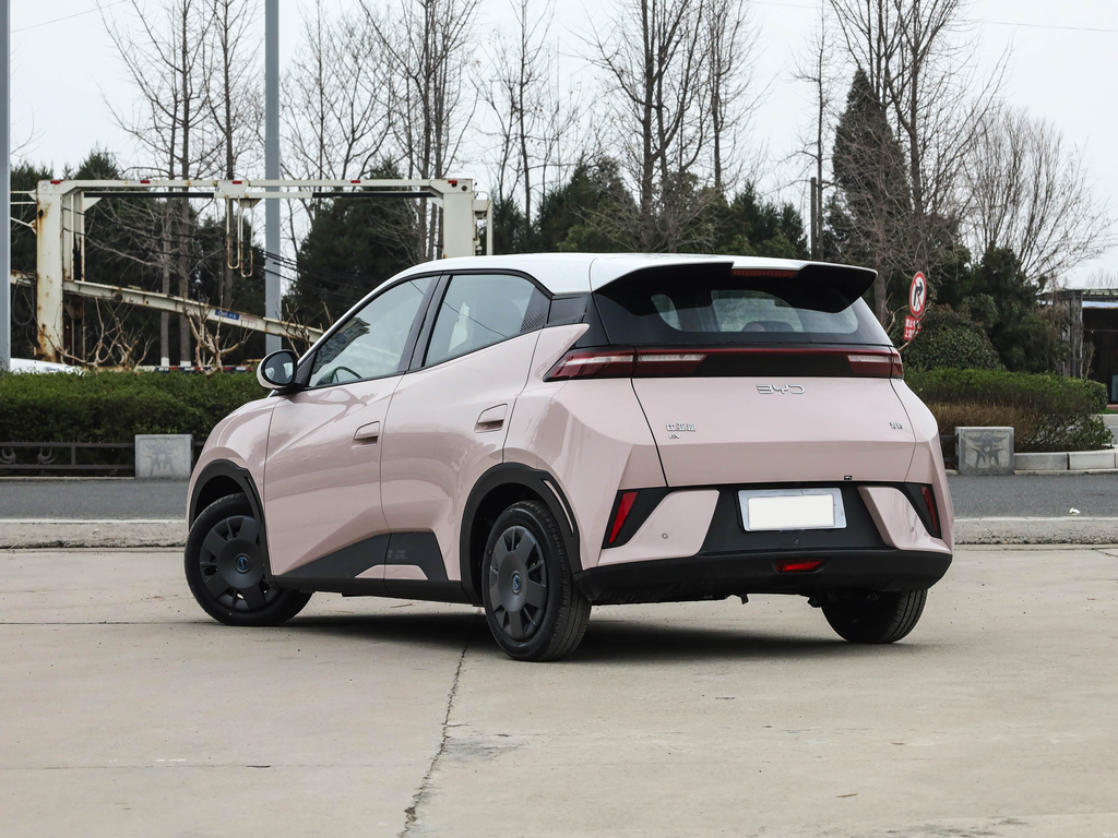 BYD Seagull 2025 Smart Drive 305km Vitality