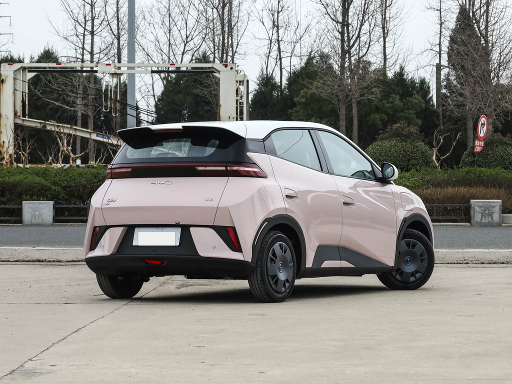 BYD Seagull 2025 Smart Drive 305km Vitality