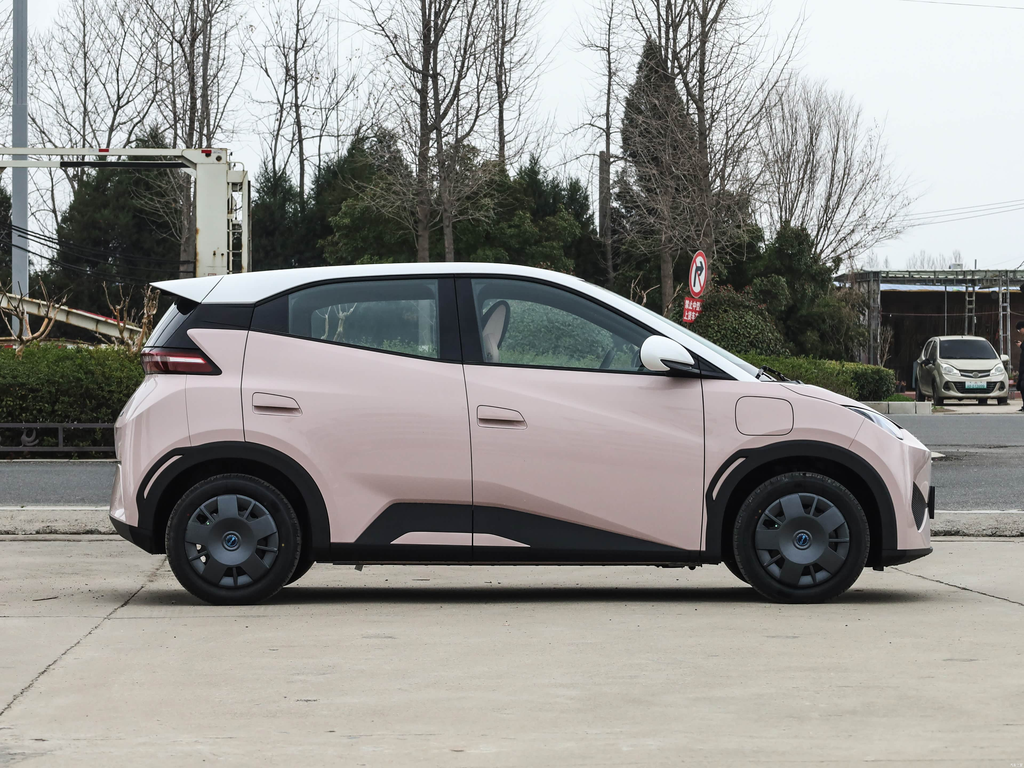 BYD Seagull 2025 Smart Drive 305km Vitality