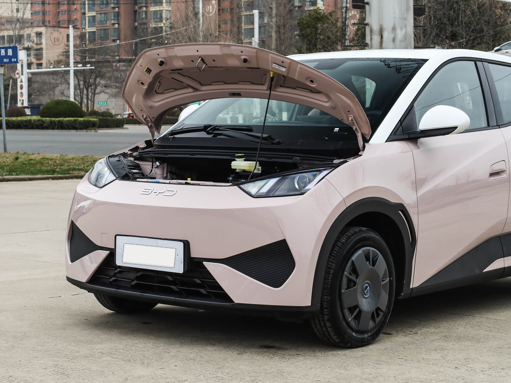 BYD Seagull 2025 Smart Drive 305km Vitality