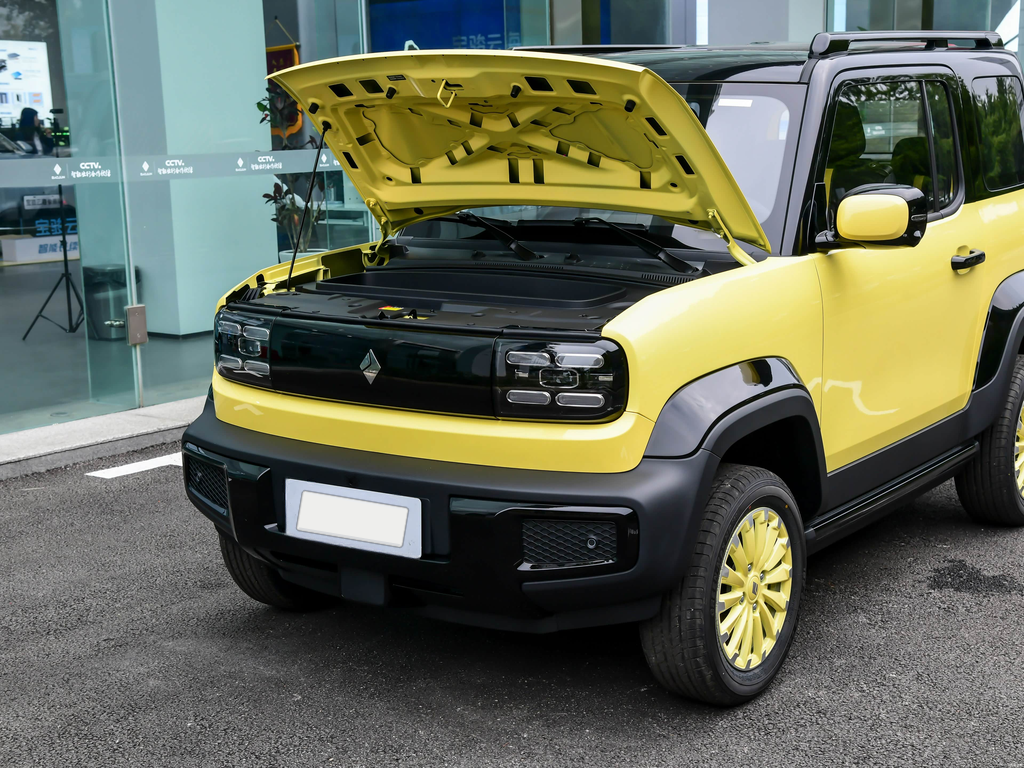 Baojun Yueya 2025 Anniversary Edition