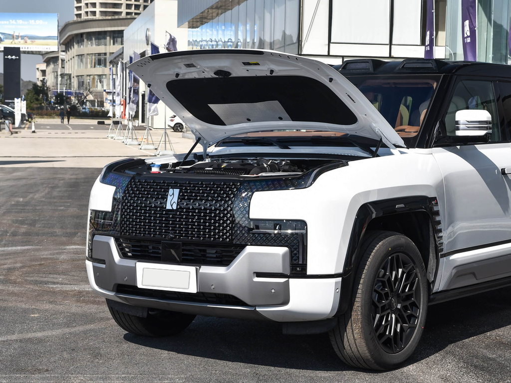 Yangwang U8 2023 Luxury Edition