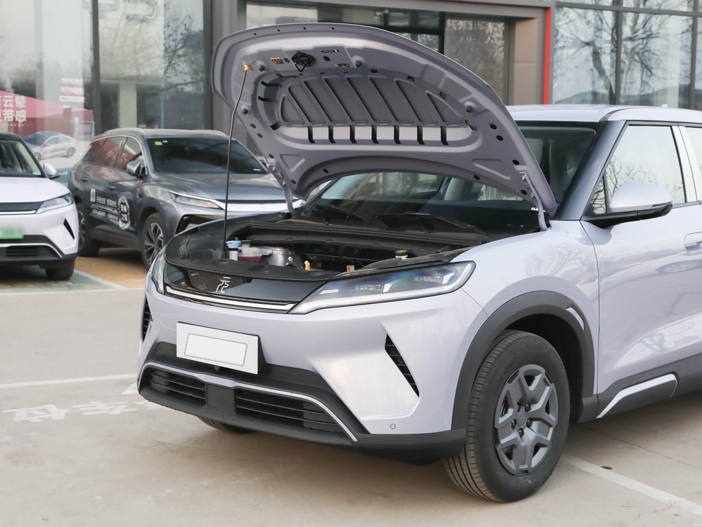 BYD Yuan UP 2025 301KM Pilot Edition