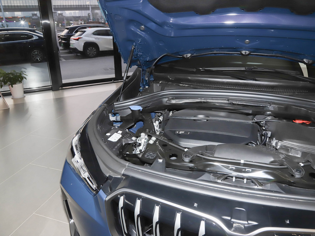 BMW X1 2025 sDrive25Li X Design Package