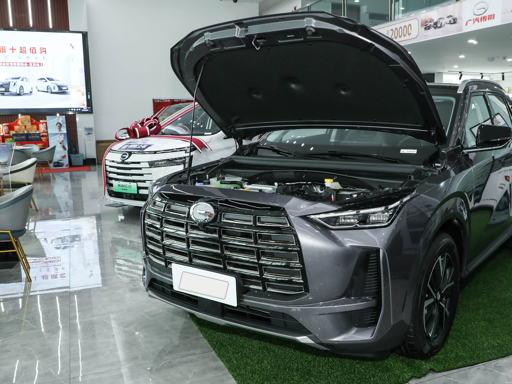 Trumpchi GS4 MAX 2024 1.5T Pilot