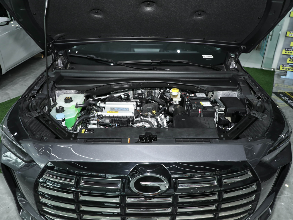 Trumpchi GS4 MAX 2024 1.5T Pilot