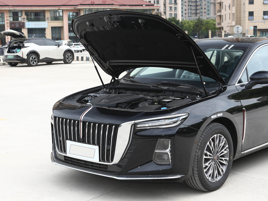 Hongqi H5 2025 1.5T DCT Premium
