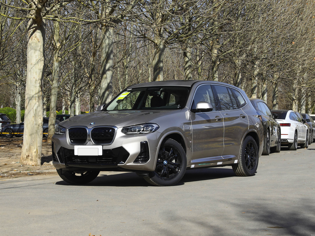 BMW iX3 2024 Leading Edition