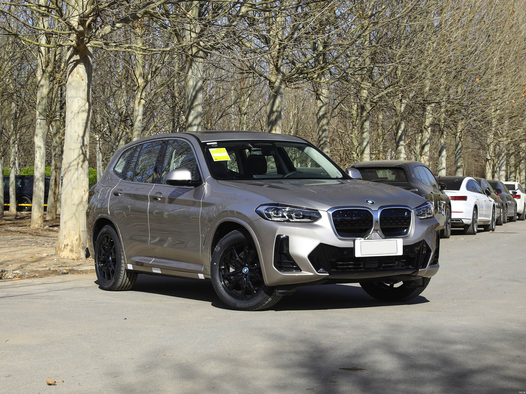BMW iX3 2024 Leading Edition