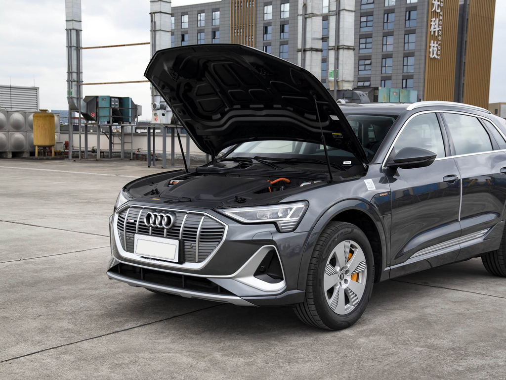 Audi e-tron 2021 50 quattro Luxury