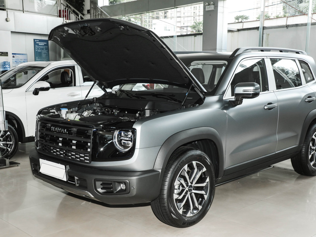 Haval Big Dog 2026 1.5T DCT Labrador Edition