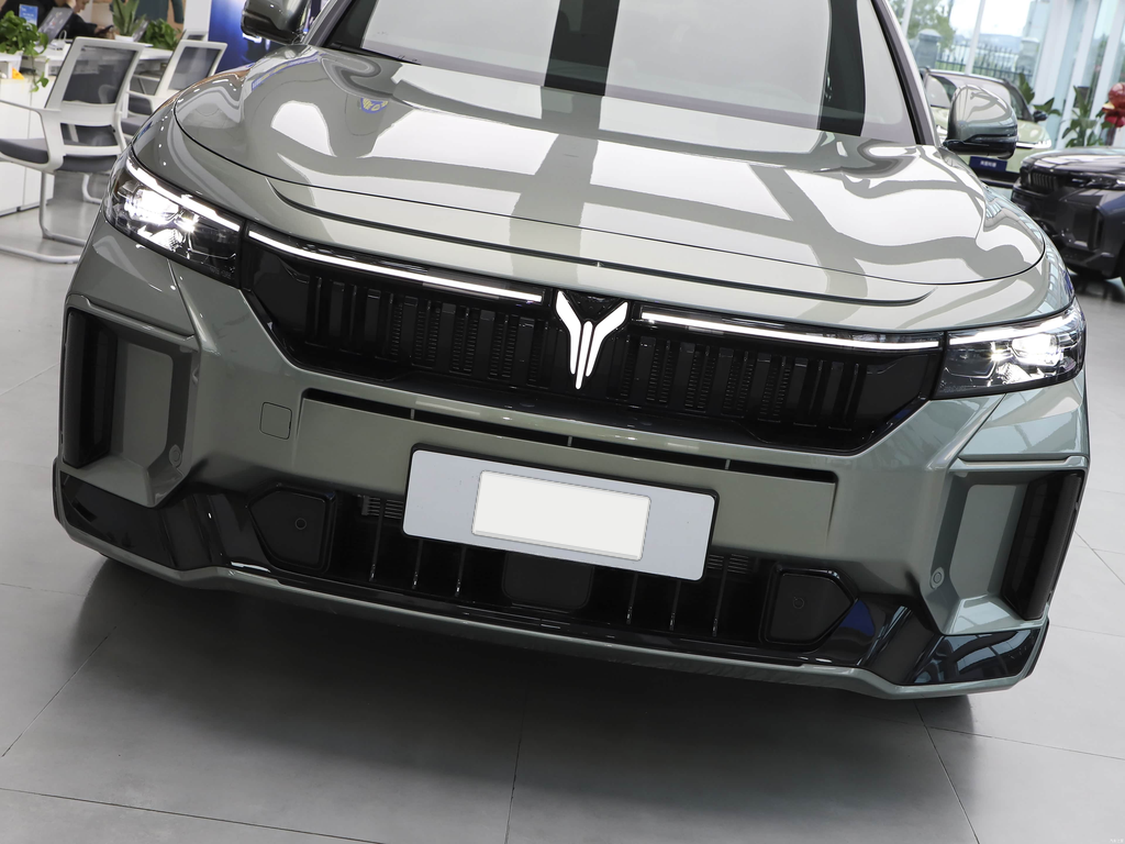 Voyah FREE 2025 318 318km RWD Travel Edition