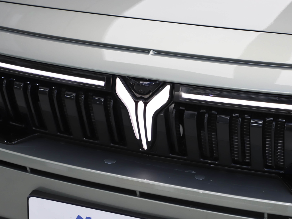 Voyah FREE 2025 318 318km RWD Travel Edition