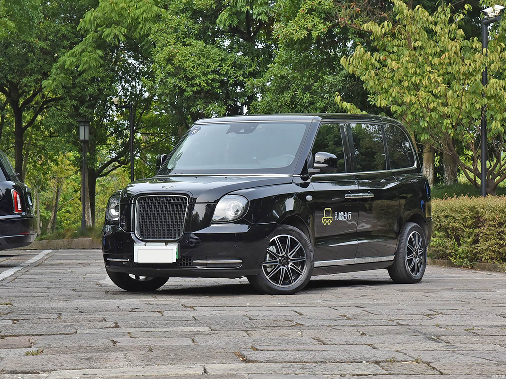 LEVC TX 2023 TX5 REEV Travel Edition