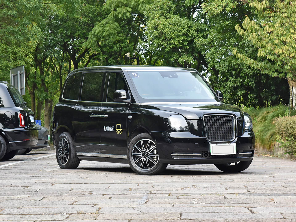 LEVC TX 2023 TX5 REEV Travel Edition