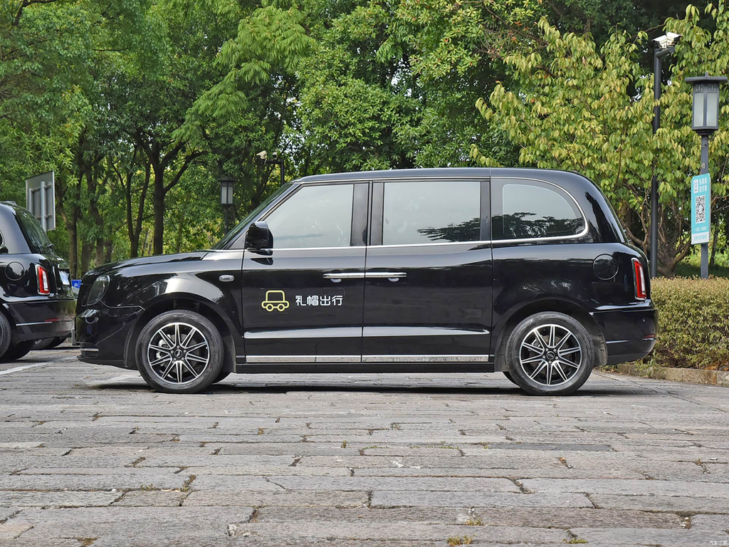 LEVC TX 2023 TX5 REEV Travel Edition