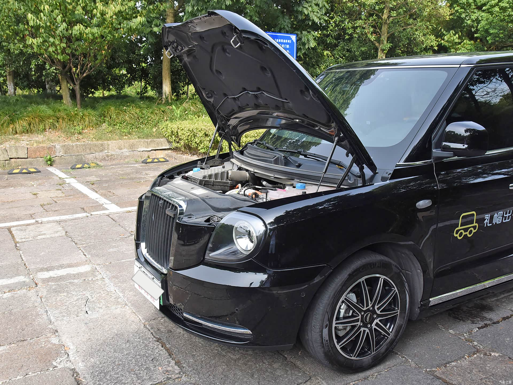LEVC TX 2023 TX5 REEV Travel Edition