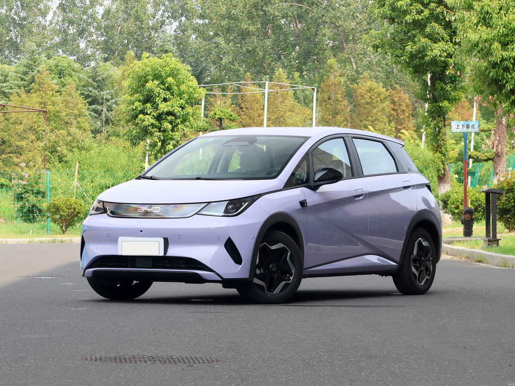 BYD Dolphin 2025 Smart Drive 420km Free Edition