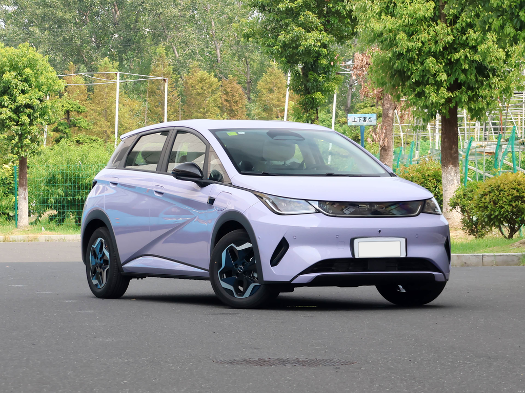 BYD Dolphin 2025 Smart Drive 420km Free Edition