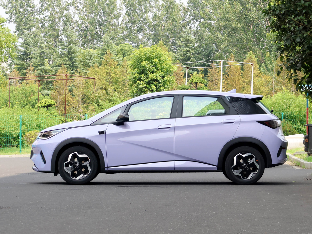 BYD Dolphin 2025 Smart Drive 420km Free Edition