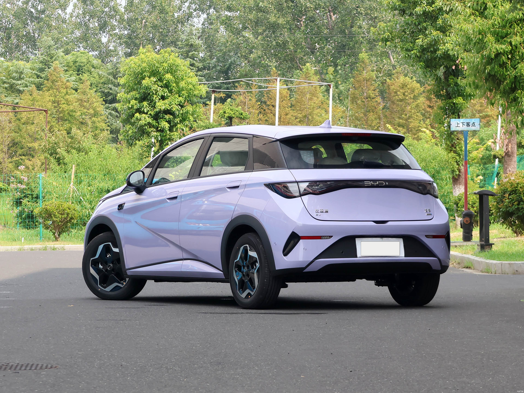 BYD Dolphin 2025 Smart Drive 420km Free Edition