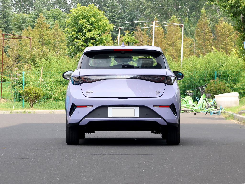 BYD Dolphin 2025 Smart Drive 420km Free Edition