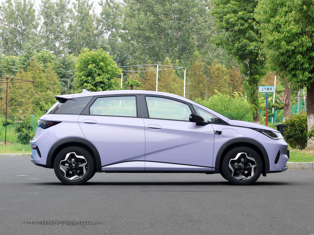 BYD Dolphin 2025 Smart Drive 420km Free Edition