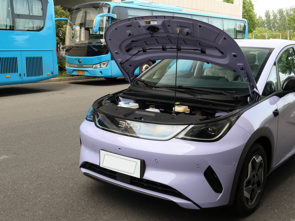 BYD Dolphin 2025 Smart Drive 420km Free Edition