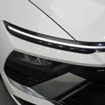 Hyundai Sonata 2024 2.0 LPG(Rent) Business 1