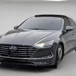 Hyundai Sonata 2022 2.0 LPG(rental car) Smart