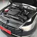 Hyundai Sonata 2022 2.0 LPG(rental car) Smart