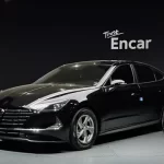 Hyundai Sonata 2022 2.0 LPG(rental car) Smart