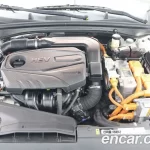 Kia K5 2023 Trendy