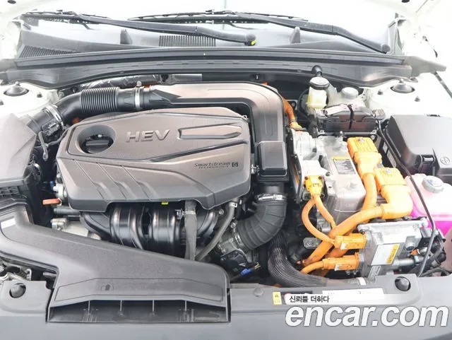 Kia K5 2023 Trendy