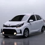 Kia Morning 2021 Van Special