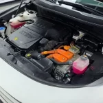 Kia Niro 2022 Trendy