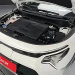 Kia Niro 2024 Earth