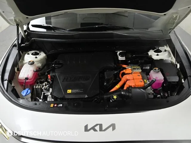 Kia Niro 2022 Trendy