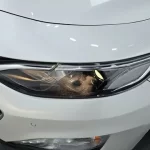 Chevrolet Malibu 2021 2.0 Turbo LT Special